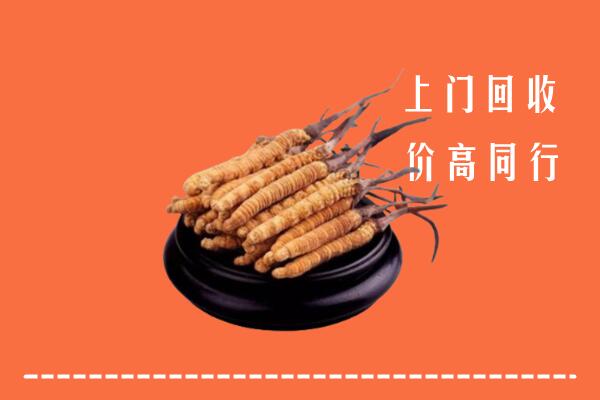 高价求购：甘南州合作回收散虫草