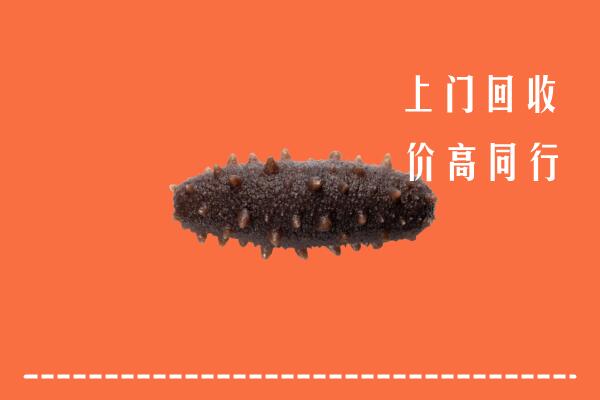 高价求购：甘南州合作回收海参