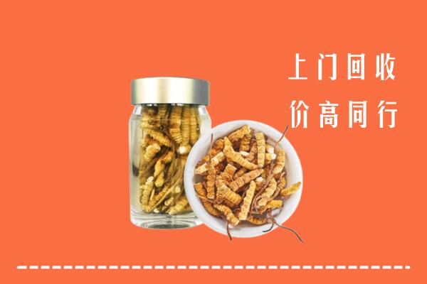 甘南州合作回收冬虫夏草
